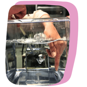 Mitä vokologi tekee?